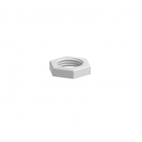 Porca, rosca métrica, cinzento claro M16_x_1,5 | 22