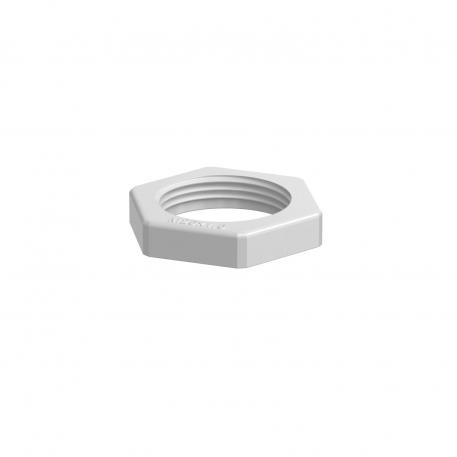 Porca, rosca métrica, cinzento claro M25_x_1,5 | 32