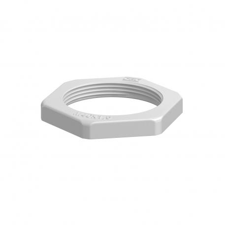Porca, rosca métrica, cinzento claro M40_x_1,5 | 50