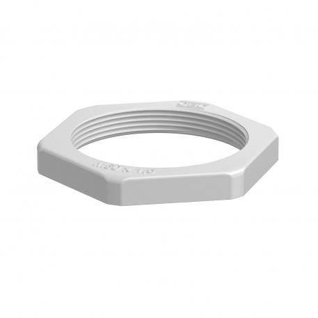 Porca, rosca métrica, cinzento claro M50_x_1,5 | 60
