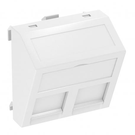 Espelho para conectores de dados, 1 módulo, saída inclinada, Tipo RM sim | branco puro; RAL 9010